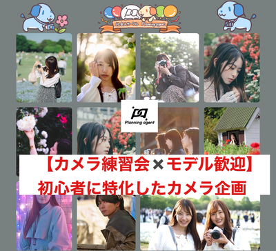 【コスモス】浜離宮庭園×被写体歓迎！:カメラがメインの企画 /20代〜30代
