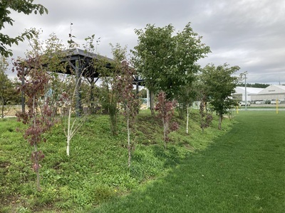 国立科学博物館自然教育園　散策