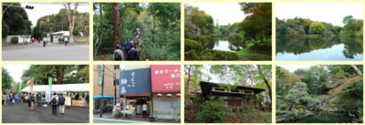 秋の国分寺 散策