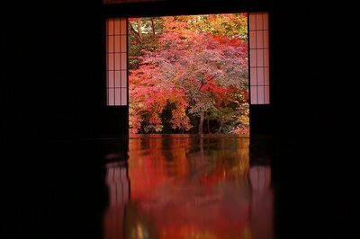 古都の紅葉　実相院門跡～妙満寺