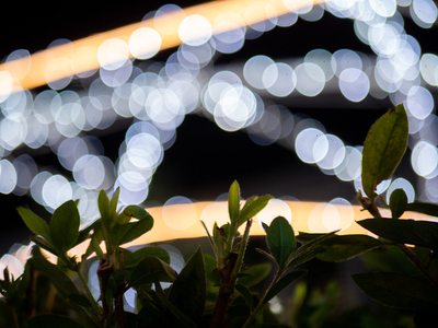 イルミを撮りに行こう