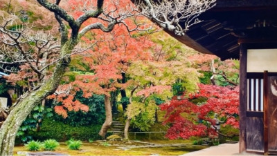 初心者歓迎！　紅葉ハイキング