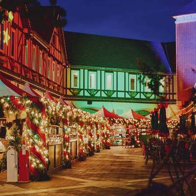 X'mas マーケットでお散歩🎅 