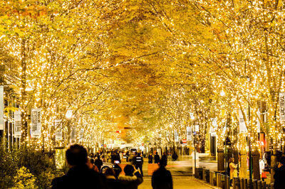 【残り2枠】12/10丸の内イルミネーション✨