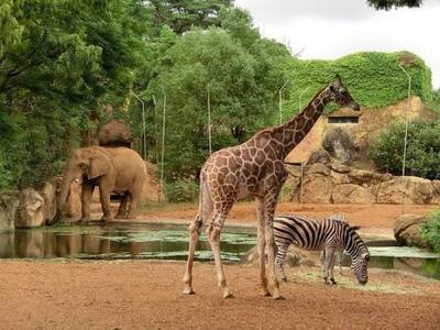 2026/3/8動物園撮影会