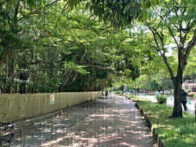 12/28(日)🔰20:00-21:00ウォーキン