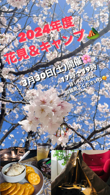 夜ピクニック⛺公園で楽しもう🌸🍻