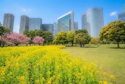 【Photo Walk】菜の花香る浜離宮で春の空気を切り撮ろう！