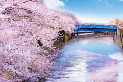 朝横浜〜みなとみらいを散歩しましょう！🚶