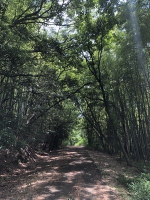 🏃‍♀️熱田神宮散策ウォーキング会🏃‍♀️