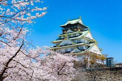 #2 梅のフォト会🌸