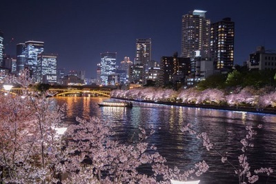 #3 夜桜フォトウォーク