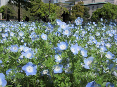 【残り2枠】4/18 ゆる散歩🚶日比谷公園🪻