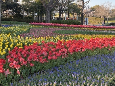初の開催場所　落ち着いたサロン