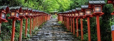 貴船神社青もみじライトアップ撮影会
