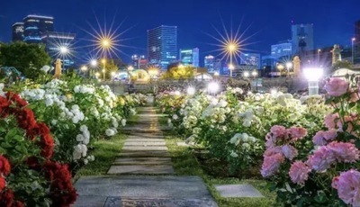 中之島公園撮影会