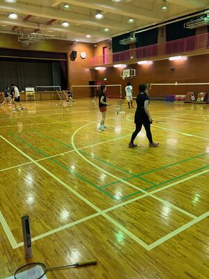【6/17 PM6:00 - PM9:00(女性限定)開催予定】バドミントン@新宿区・豊島区周辺です。参加希望の方は、アプリから参加表明お願いします！
