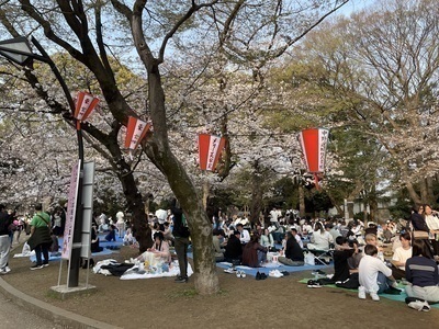 【現在13名】代々木公園☀️公園飲み🍻【25-35歳限定】※1人参加限定※