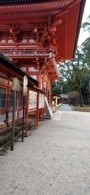 京都市内ほか平日夜、本が好きな方集まりませんか？