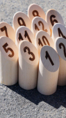 ギャラリー｜OIDEYASU plusモルックサークル🪵