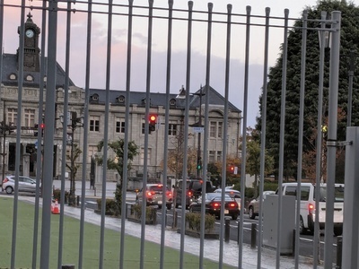 ギャラリー｜Nフォト