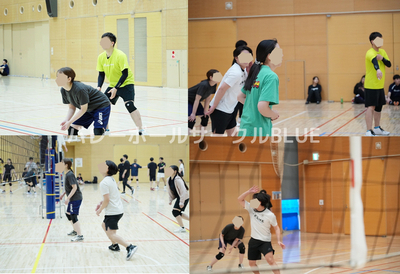 ギャラリー｜BLUE