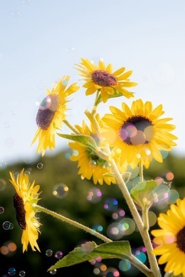 ギャラリー｜関西 20代 カメラサークル『Week end』