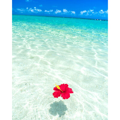 ギャラリー｜【コミニティゆいまーる那覇】土曜日のカラオケ会/50代60代/アットホーム/少人数シェア/呑み会オッケー!