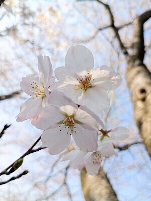 ギャラリー｜自然のなかで季節を楽しむ写真サークル🌈