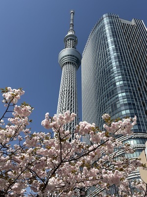 ギャラリー｜うっかりさん　（男性メンバーさん募集しております！）