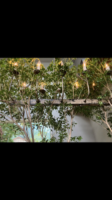 ギャラリー｜対話カフェ「はなされきかれ」（仮）