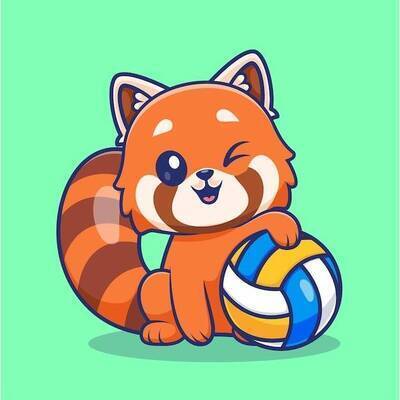 ギャラリー｜港区中心男女混合バレーボール社会人サークル