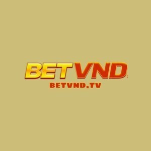 ギャラリー｜BETVND