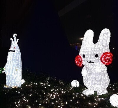 ギャラリー｜リクリエーショナル卓球 ピンポ～ン