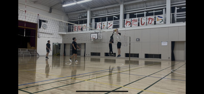 ギャラリー｜HALO