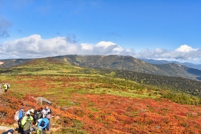 ギャラリー｜YamanoWA(やまのわ)