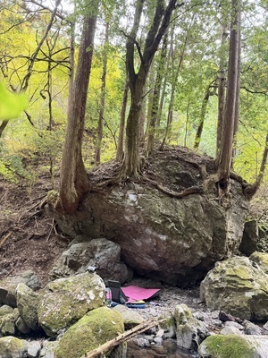 ギャラリー｜近場ジムゆるゆるボルダリング部