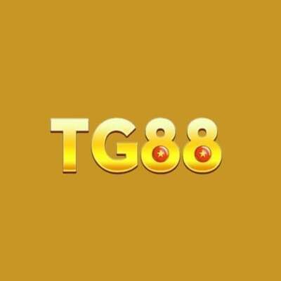 ギャラリー｜tg88comhost