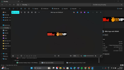 ギャラリー｜888vispedil
