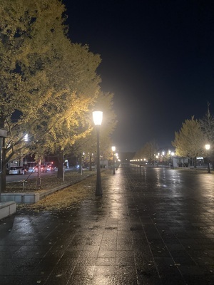 ギャラリー｜山手線ぐるり散歩