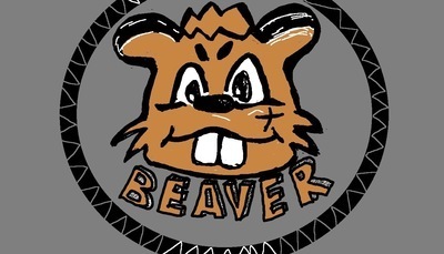 ギャラリー｜Beaver