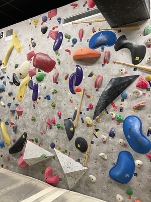 ギャラリー｜ボルダリング民族🧗