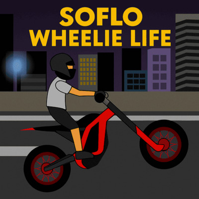 ギャラリー｜SoFlo Wheelie Life