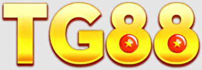 ギャラリー｜tg88procom2