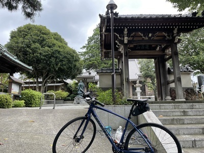 ギャラリー｜Umbrella