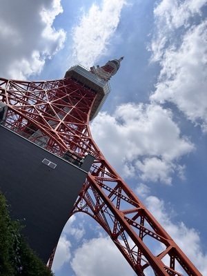 ギャラリー｜土日ぼっち部