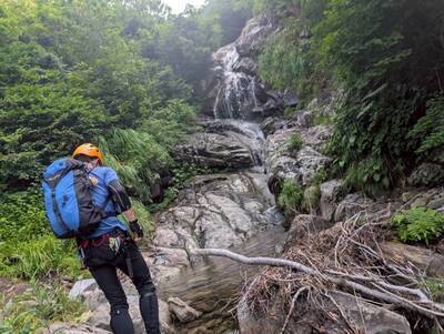 ギャラリー｜チームさわねこ