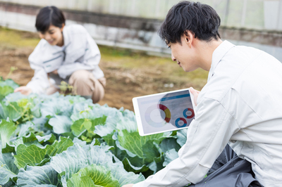 ギャラリー｜家庭菜園友の会