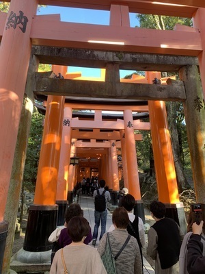 ギャラリー｜てげてげ