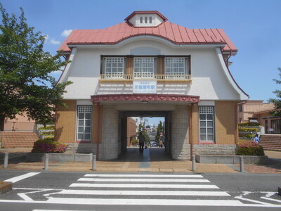 ギャラリー｜東京お散歩教室